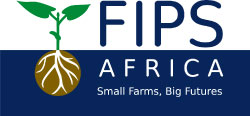 FIPS Africa