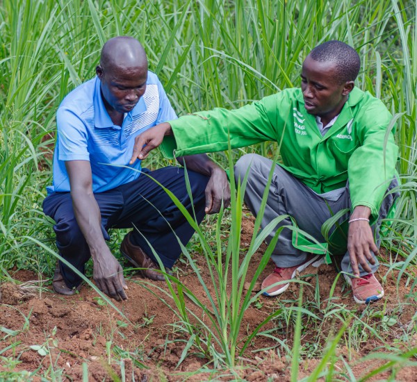 How FIPS Delivers Training