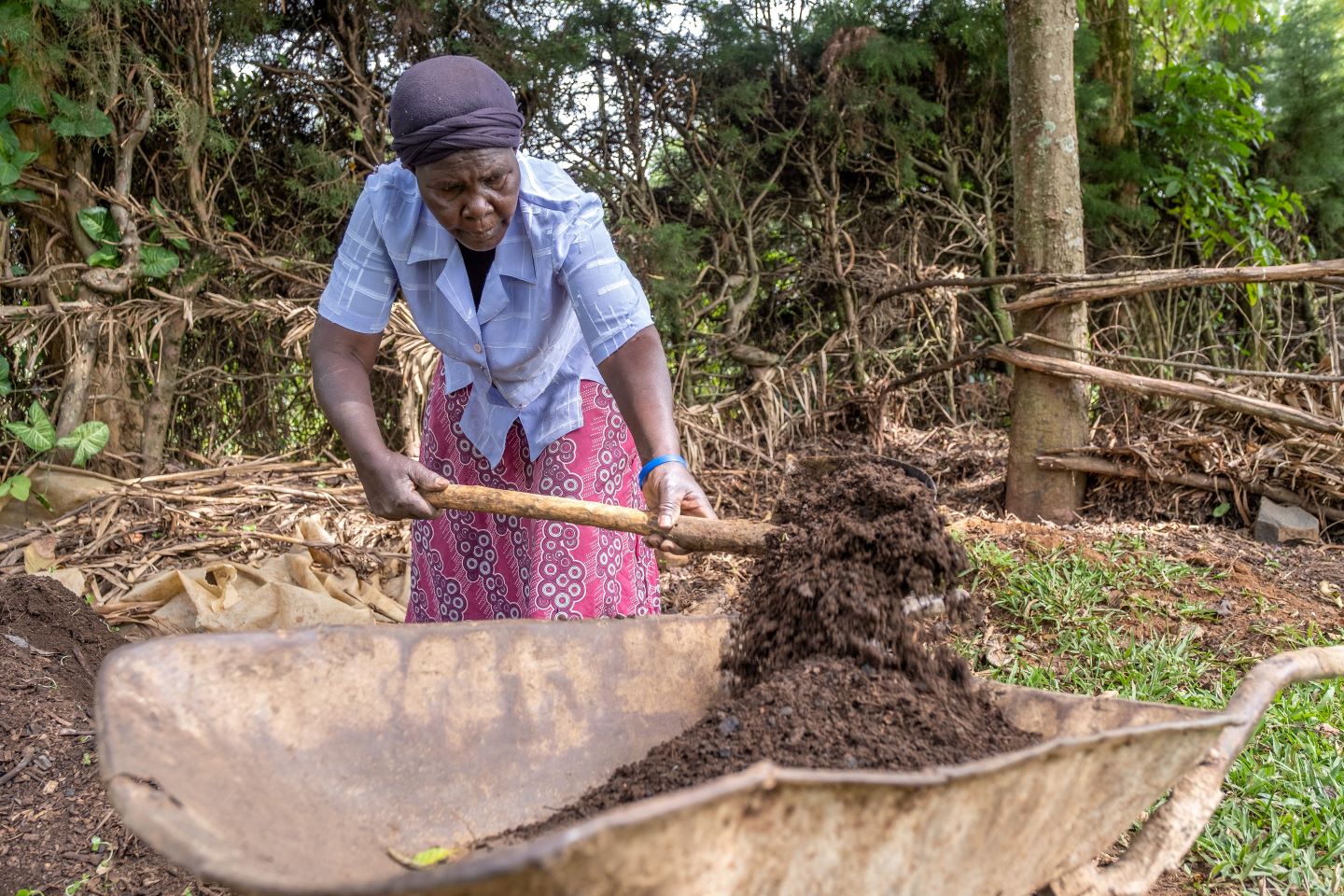 Regenerating soils: Down-to-earth solutions safeguarding western Kenya’s agricultural future