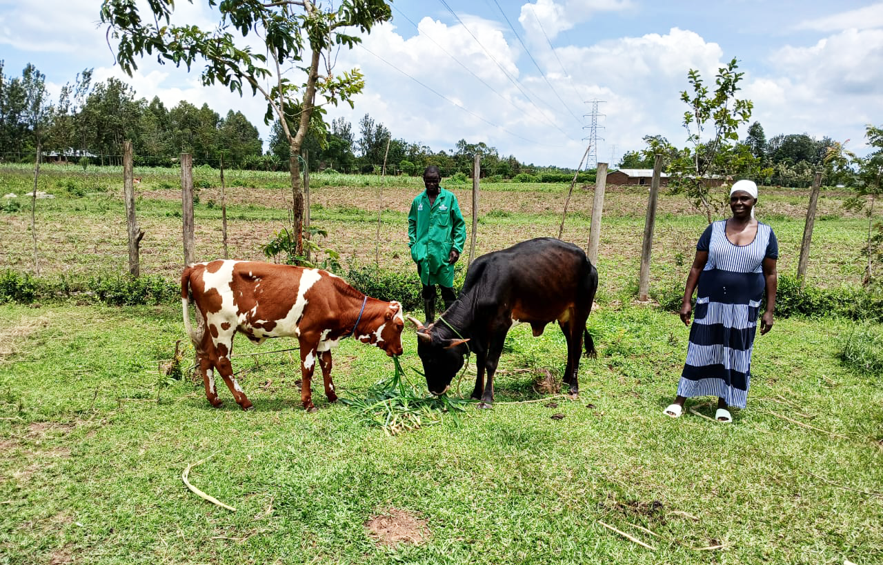 FIPS CEO Dr David Priest had his faith in Village-based Advisors reaffirmed after a trip to Bungoma County