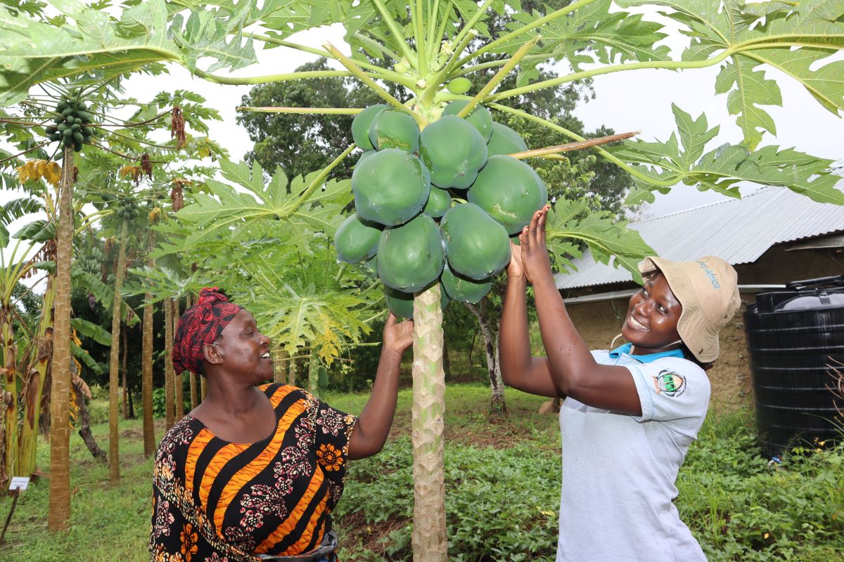 FIPS child protection policy